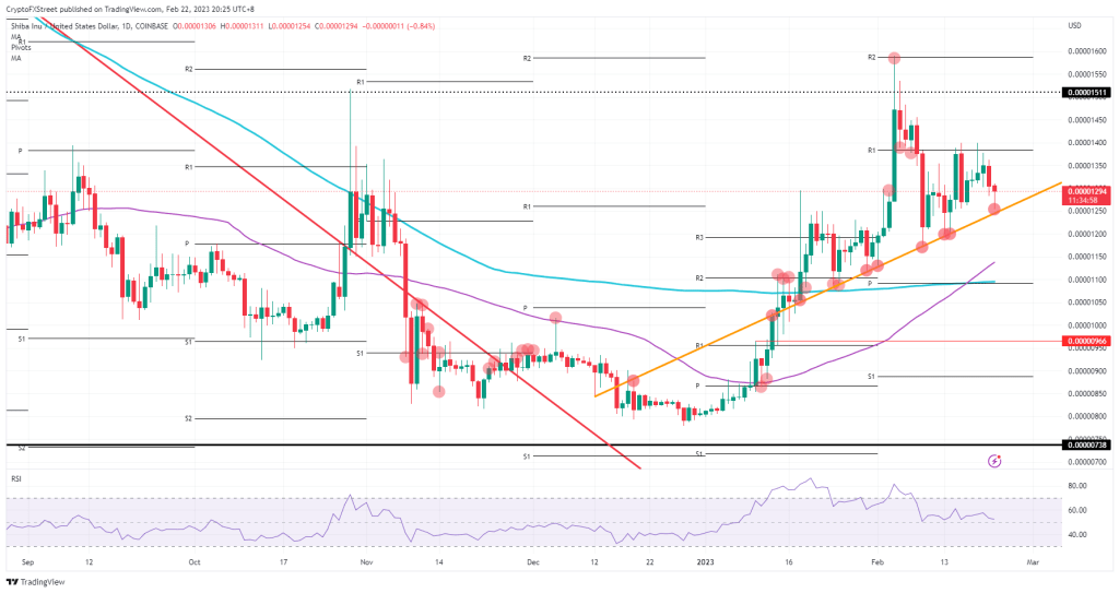 Dikkat: Yükselecek Sıradaki Binance Altcoinleri Bunlar!