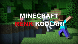 Minecraft renk kodları