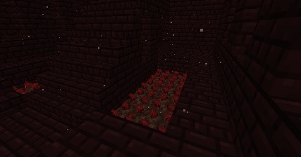 nether-wart-1.jpg